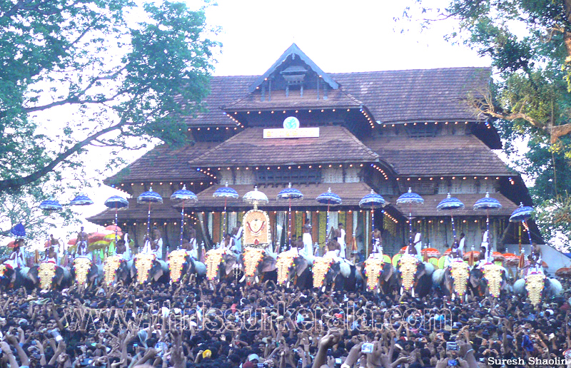 thrissur-pooram-2011- (51)